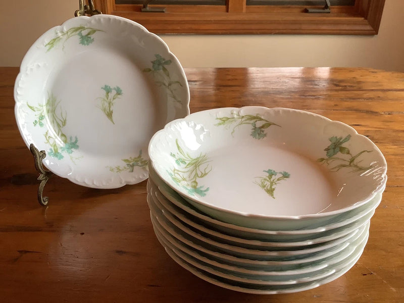 Haviland Schleiger 472d Blue Turquoise Carnation Set Of 9 Soup Salad Bowls Carnation