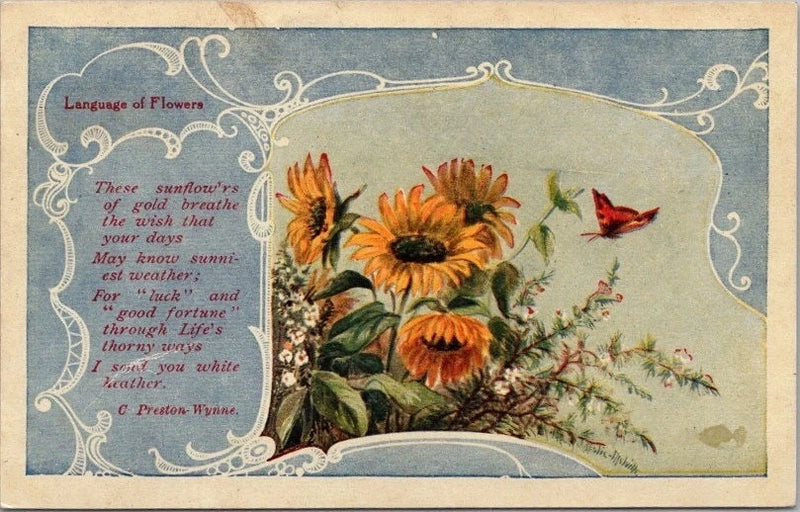 Vintage 1909 LANGUAGE OF FLOWERS Greetings Postcard Sunflowers /Butterfly UNUSED Sunflower