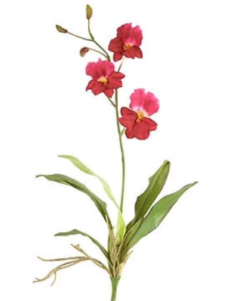 Artificial miltoniopsis orchid plant with fuchsia-pink flowers and green leaves