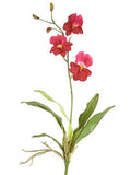 ARTIFICIAL miltoniopsis orchid plant FUCHSIA Roses