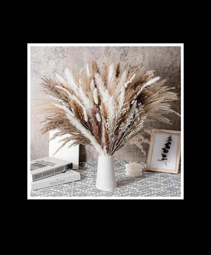 Natural Reed Pampas  Grass Dried Flower Palm  Plant  Tree Leaves Home Garden Pampas Grass