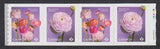 END Coil strip of 4 * WAVY DIE CUT * RANUNCULUS / PERSIAN BUTTERCUP Canada 2023 Ranunculus