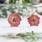 12pcs Dried Flowers Specimen Rose Flower Decors DIY Mobile Phone Case Materials Dried Flower