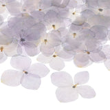60-Pack Dried Pressed Flowers for Resin, Real Bulk Dry Floral [Purple White] Dried Flower