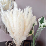 REAL Flowers!40 Stems!Wedding Centerpiece Home Welcoming graduation decor Pampas Grass