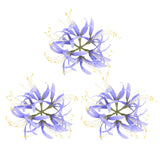 Artificial Flower Heads (7 Inch, Purple) 3 PCS - Spider Lily Silk Flowers Lily