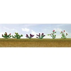 O  Flower Plants Assted #1 Garden Plants