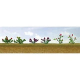 O  Flower Plants Assted #1 Garden Plants