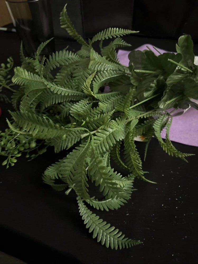 Assortment Of Leave Floral . Ashland And Flower Garden. Tags New Green Plant