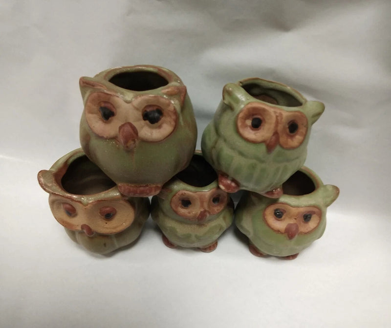 5x Mini Ceramic Plant Pot Owl Succulent Flower Planter Bonsai Box Garden Home A Garden Plants