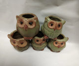 5x Mini Ceramic Plant Pot Owl Succulent Flower Planter Bonsai Box Garden Home A Garden Plants