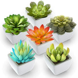 Kdelicate Artificial Succulent Assorted Decorative Faux Succulent Fake Plants wi Green Plant