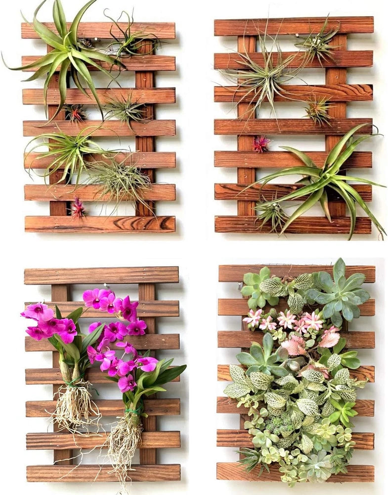 Wall Planters - 4 Pack Wooden Hanging Planter for Indoor Outdoor Plants, Air Pla Garden Plants