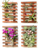 Wall Planters - 4 Pack Wooden Hanging Planter for Indoor Outdoor Plants, Air Pla Garden Plants