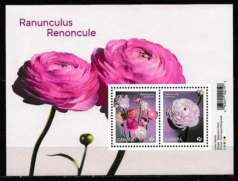 Canada 2023 Ranunculus MS SC# 3372 MNH Ranunculus
