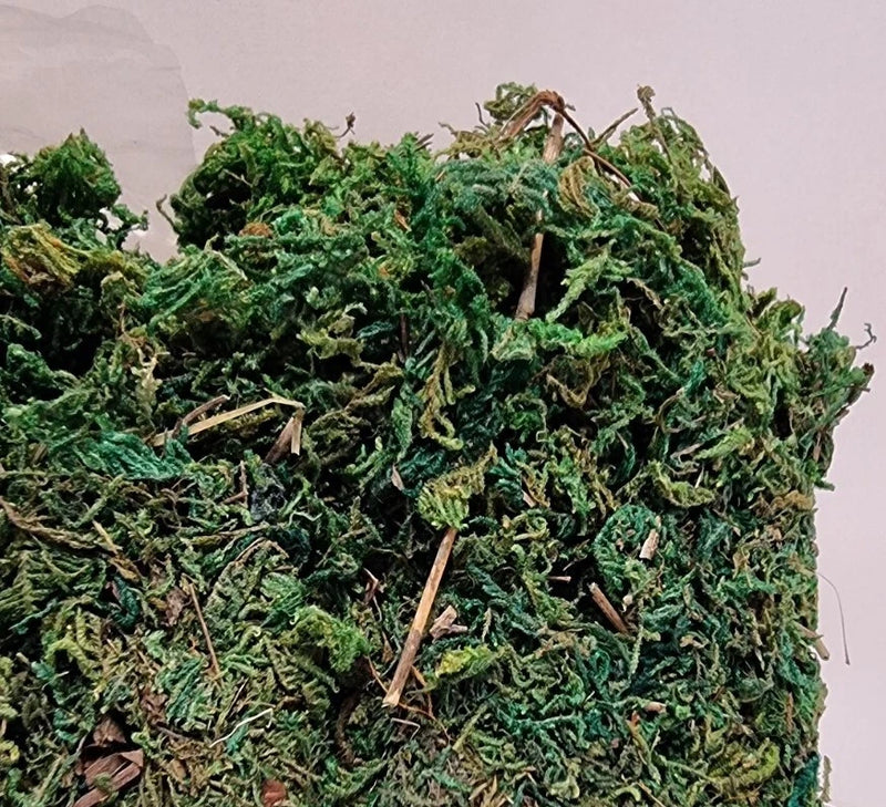 Artificial Moss Artificial Plant Lichen Fake Green Plants Decorative Home Art Green Plant