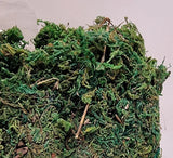 Artificial Moss Artificial Plant Lichen Fake Green Plants Decorative Home Art Green Plant