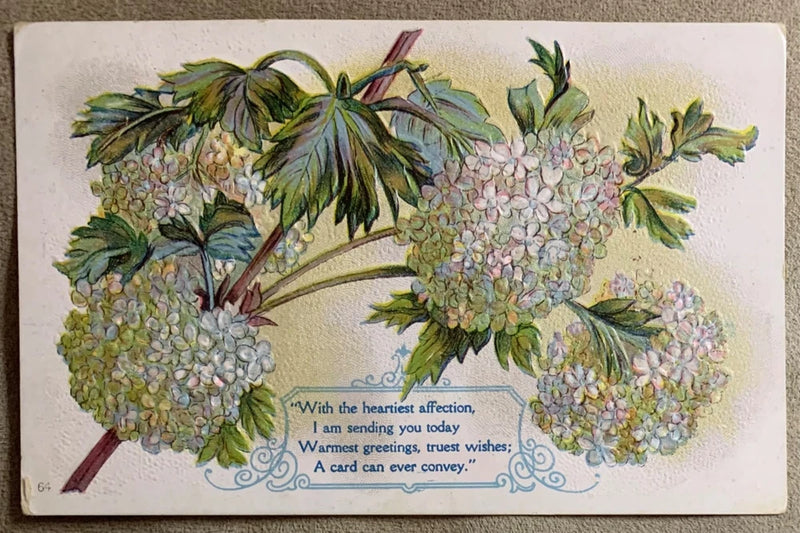 Antique Embossed Postcard With Hydrangea Flowers & Poem Mailed 1912 US 1 Cent St Hydrangea