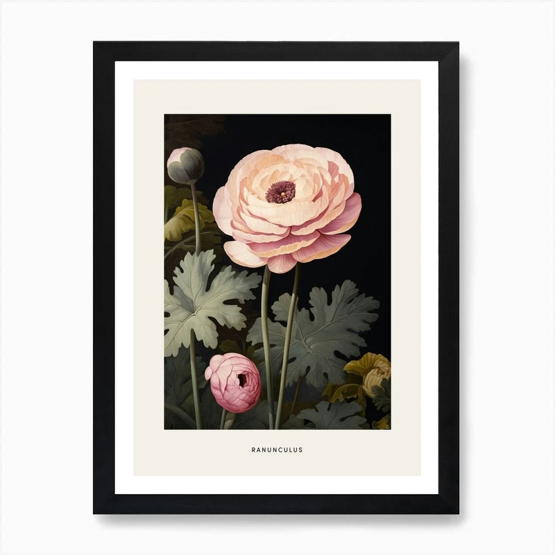Flower Illustration Ranunculus 1 Po Framed Wall Art Poster Canvas Print Picture Ranunculus
