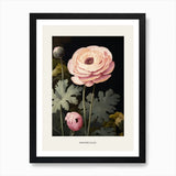 Flower Illustration Ranunculus 1 Po Framed Wall Art Poster Canvas Print Picture Ranunculus