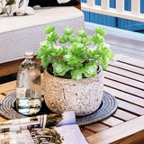 12 In. Frosted Light Green Echeveria Lotus Artificial Succulent Stem Plant Green Green Plant