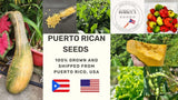 Seeds from Puerto Rico, Organic, NON-GMO, Sofrito, garden, hydroponic, aji dulce Garden Plants