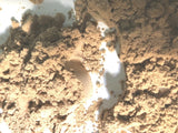 Dried flower extract powder, light tan-brown fine powder in close-up