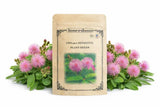 1000+ Sensitive Plant Seeds for Planting Ð Mimosa Pudica Touch Me Not Seeds Flowering Plants