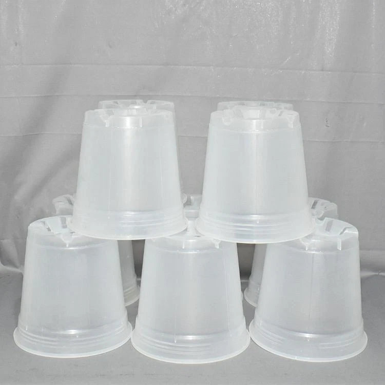 Clear round orchid pots with white rims, 6 in (10-pack)