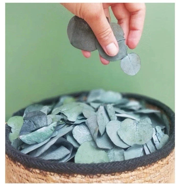 Fiber bag filled with dried pressed eucalyptus leaves in muted green-gray
