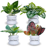 Flora Planet Artificial Plants for Home Decor Pack of 4, Multicolor Green Plant