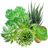 Green Succulent Plants, 6pcs Mini Fake Succulents Plants for DIY Crafting Home Green Plant