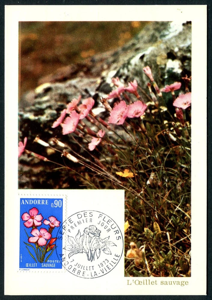 Vintage postcard with wild carnation flowers, plus blue postage stamp and cancel marks