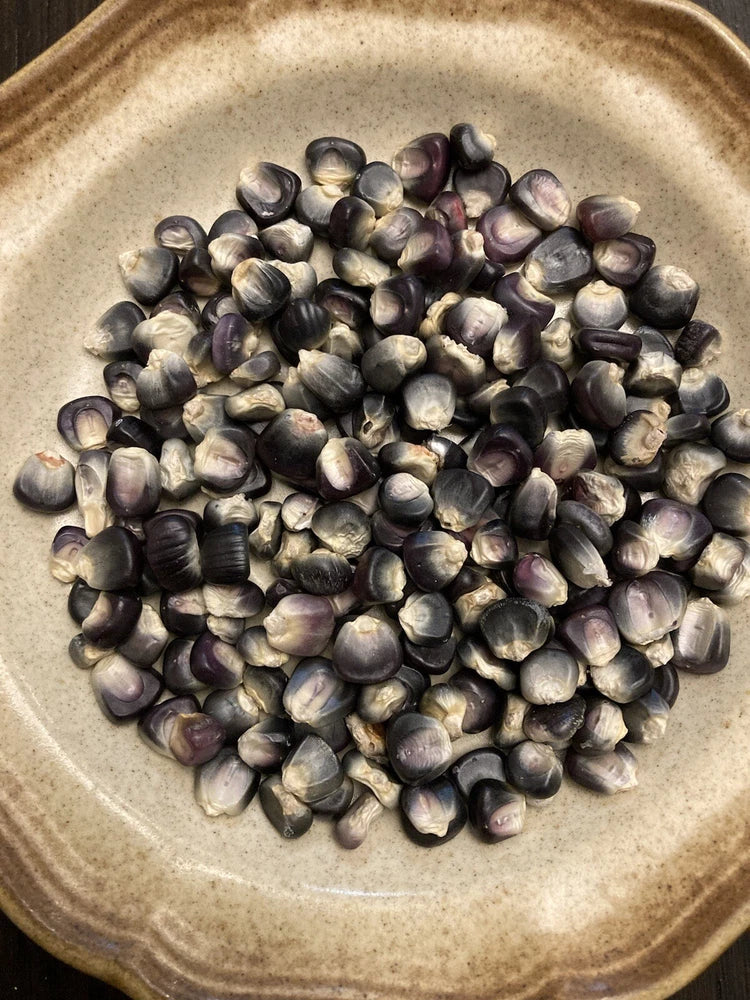 Black Aztec Corn 50 Fresh Seeds Garden Planting Non-GMO Garden Plants