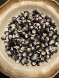 Black Aztec Corn 50 Fresh Seeds Garden Planting Non-GMO Garden Plants