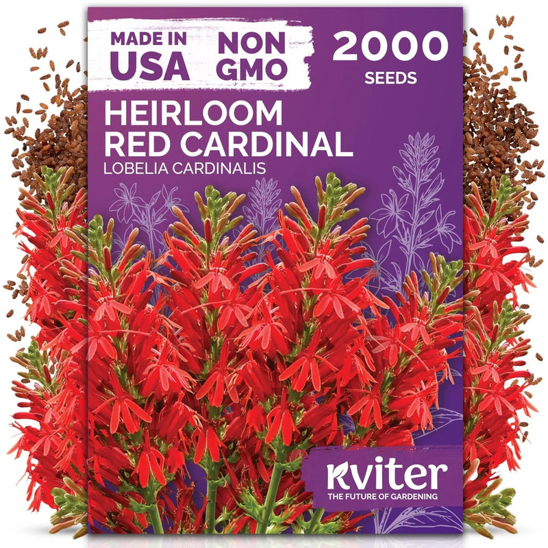 Red Cardinal Flower Seeds Lobelia Cardinalis Garden Flower Seeds 2000Pcs Garden Plants