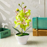 Elegant and Stunning Fivehead Phalaenopsis Bonsai with Artificial Flowers Green Plant