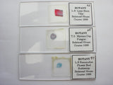 3 Vintage Microscope Slide.  Mycena Cap, Ranunculus Flower Bud, Lime Stem Ranunculus