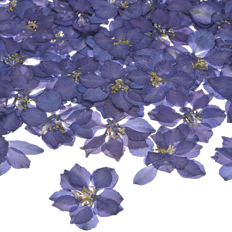 Dark purple pressed dried flowers with yellow centers for resin, flat assortment