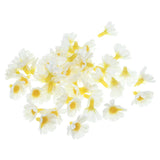 50Pcs 0.98" Artificial Silk Sunflower Flower Heads Fake Flowers for DIY, White Sunflower