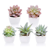 5 Pack of 3 In. Green Indoor Artificial Succulent Plants in White Ceramic Pots f Green Plant