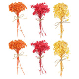 6 Pcs Mini Dried Flower Bouquet Baby's Breath Boho DIY Gift Orange/Red/Yellow Dried Flower
