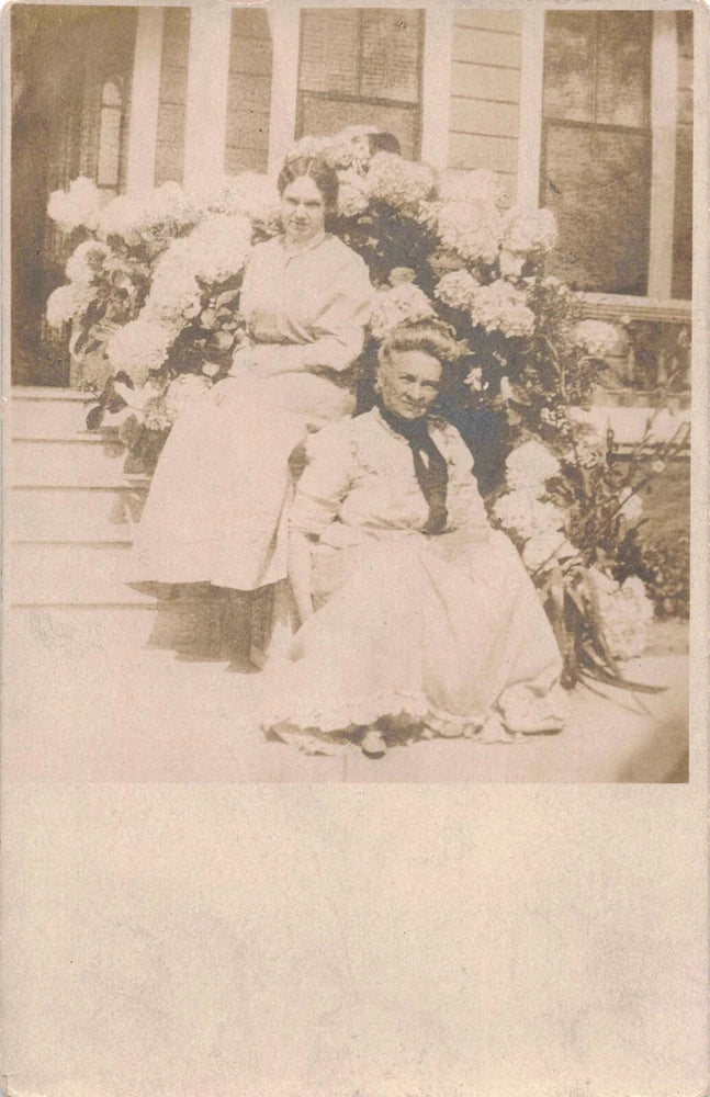 Mother and Daughter Faces in Flowers Photo Hydrangea Shrub c1908 RPPC E74 Hydrangea