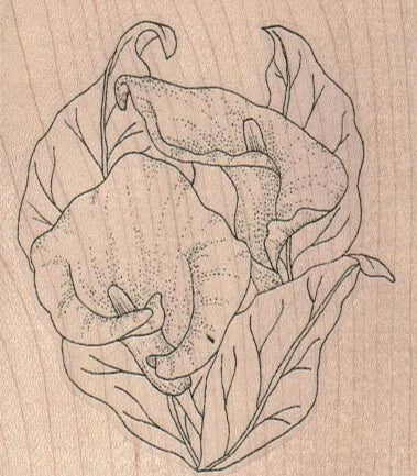 Calla lily floral rubber stamp design with outlined leaves and blossoms