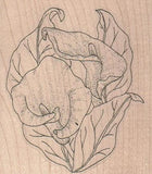 Calla Lilies 2 3/4 x 3" Rubber Stamp, Flowers Stamp, Lilies Stamp Lily