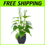 Fake Calla Lily Bonsai - Indoor/Outdoor Green Plant