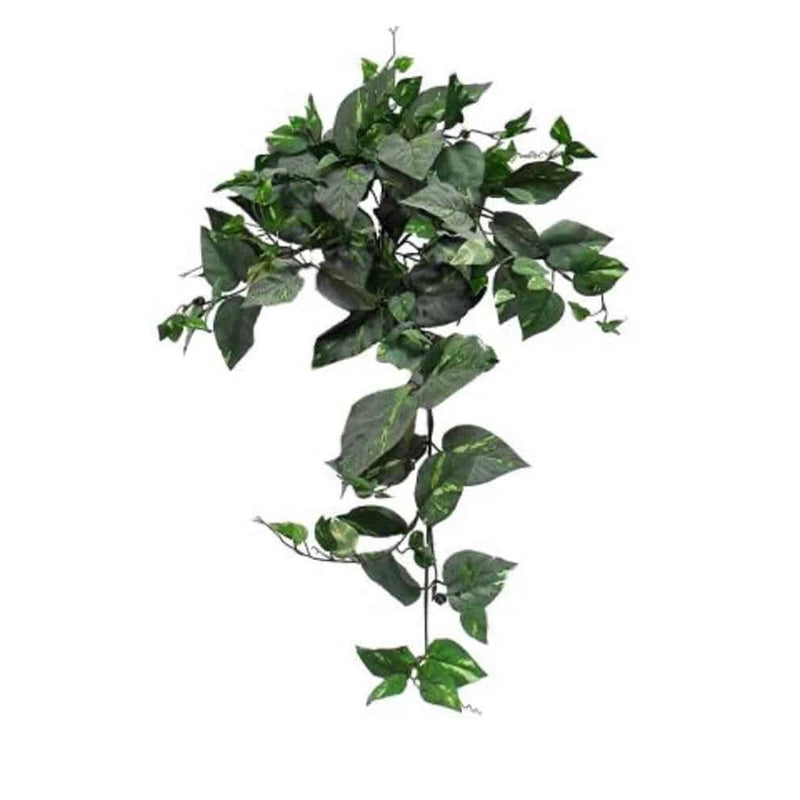 Frosted Pothos Bush of 8 Stems 34in With 155 Leaves Green Plant
