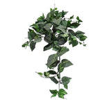 Frosted Pothos Bush of 8 Stems 34in With 155 Leaves Green Plant