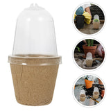25 Pcs Clear Plastic Nursery Grow Pots with Lid for Plant Garden Supplies Garden Plants