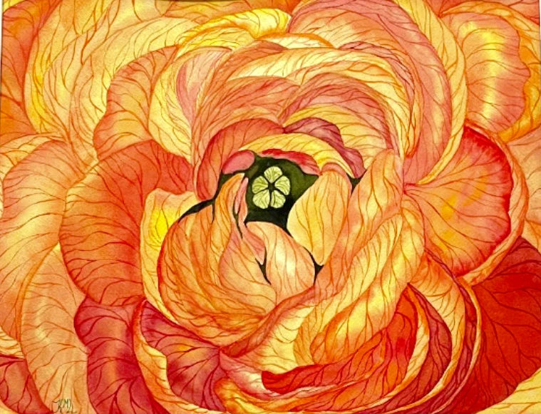 PAINTING WATERCOLOR 11X14 MAT 16X20 FLOWER RANUNCULUS ORANGE YELLOW ORIGINAL ART Ranunculus